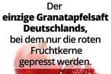 Granatapfel Direktsaft aus Kernpressung